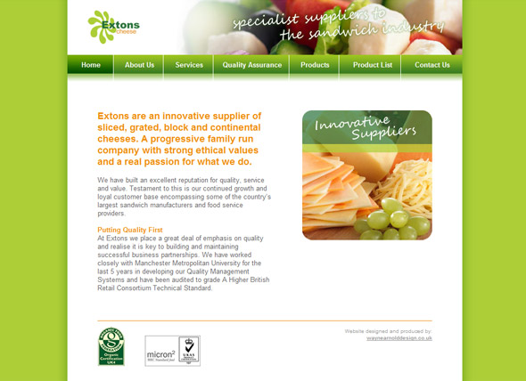 Extons corporate identity Picture 1: website